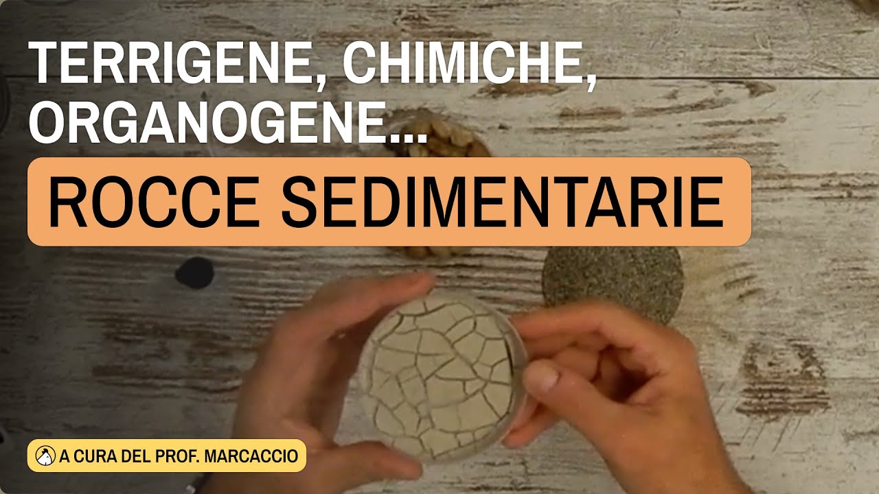 LE ROCCE SEDIMENTARIE &ndash; Classificazione, esempi e attivit&agrave; pratiche per la didattica