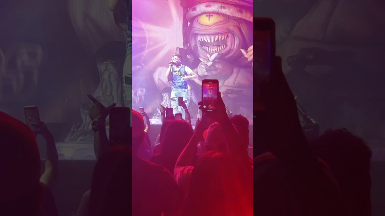 Chris Brown Performance DALLAS TX Indigoat Tour 2019