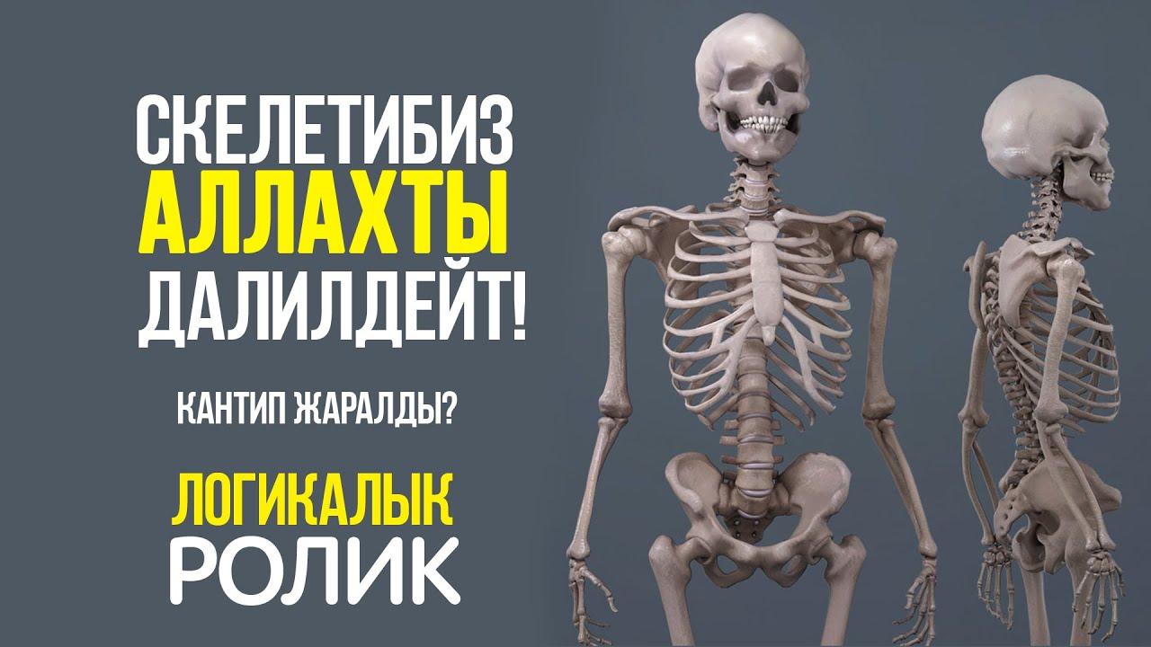 Скелетибиз Аллахты далилдейт!