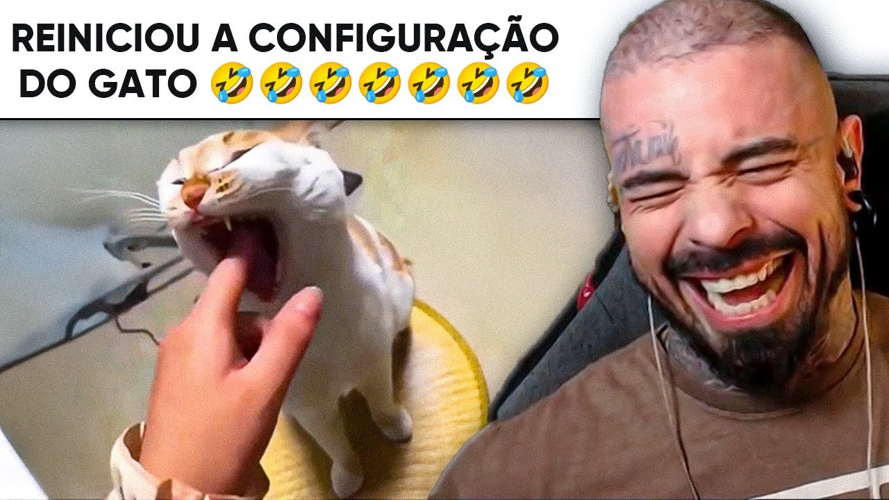 como REINICIAR seu gato | react MEMES