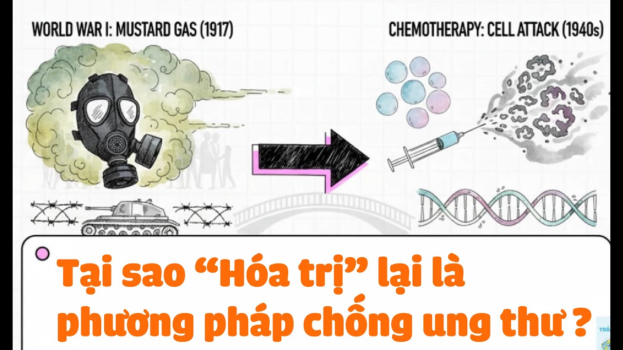 Hóa TRỊ: Vũ khí chống ung thư ? - TRÁI ĐẤT BAO LA