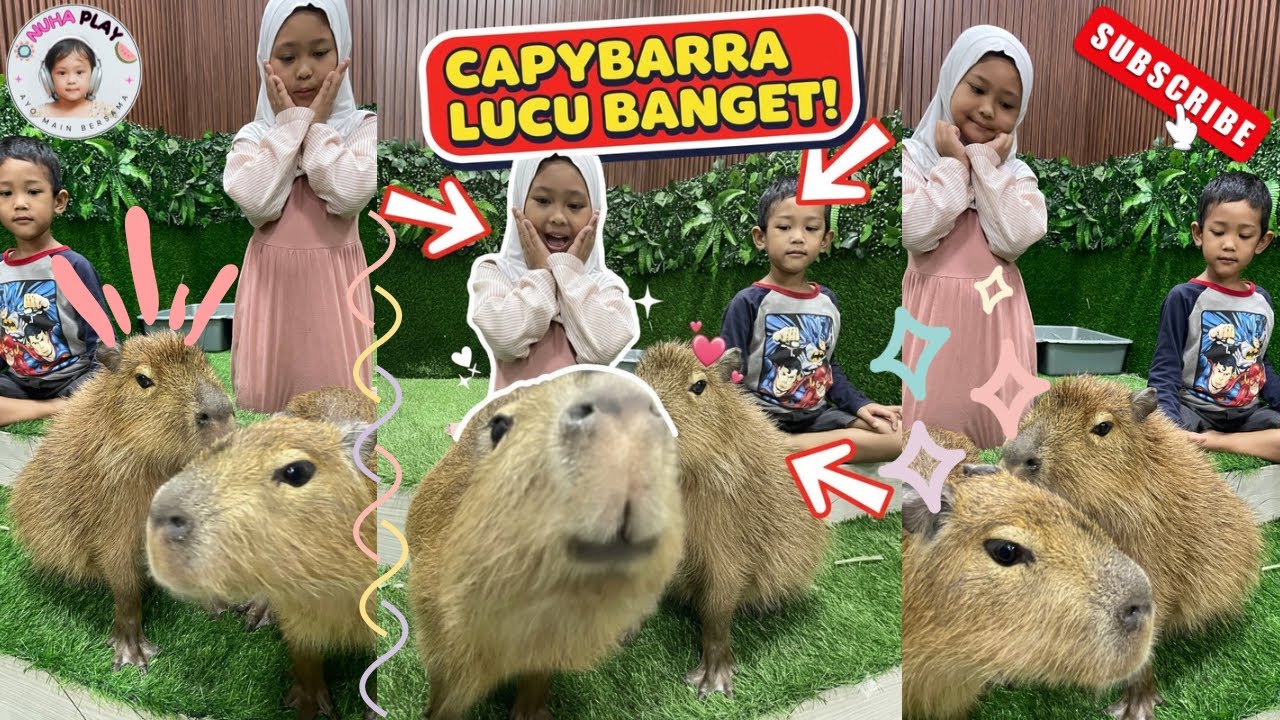 ADA CAPYBARRA DI DALAM CAFE! CAPYCA PET CAFE FATMAWATI