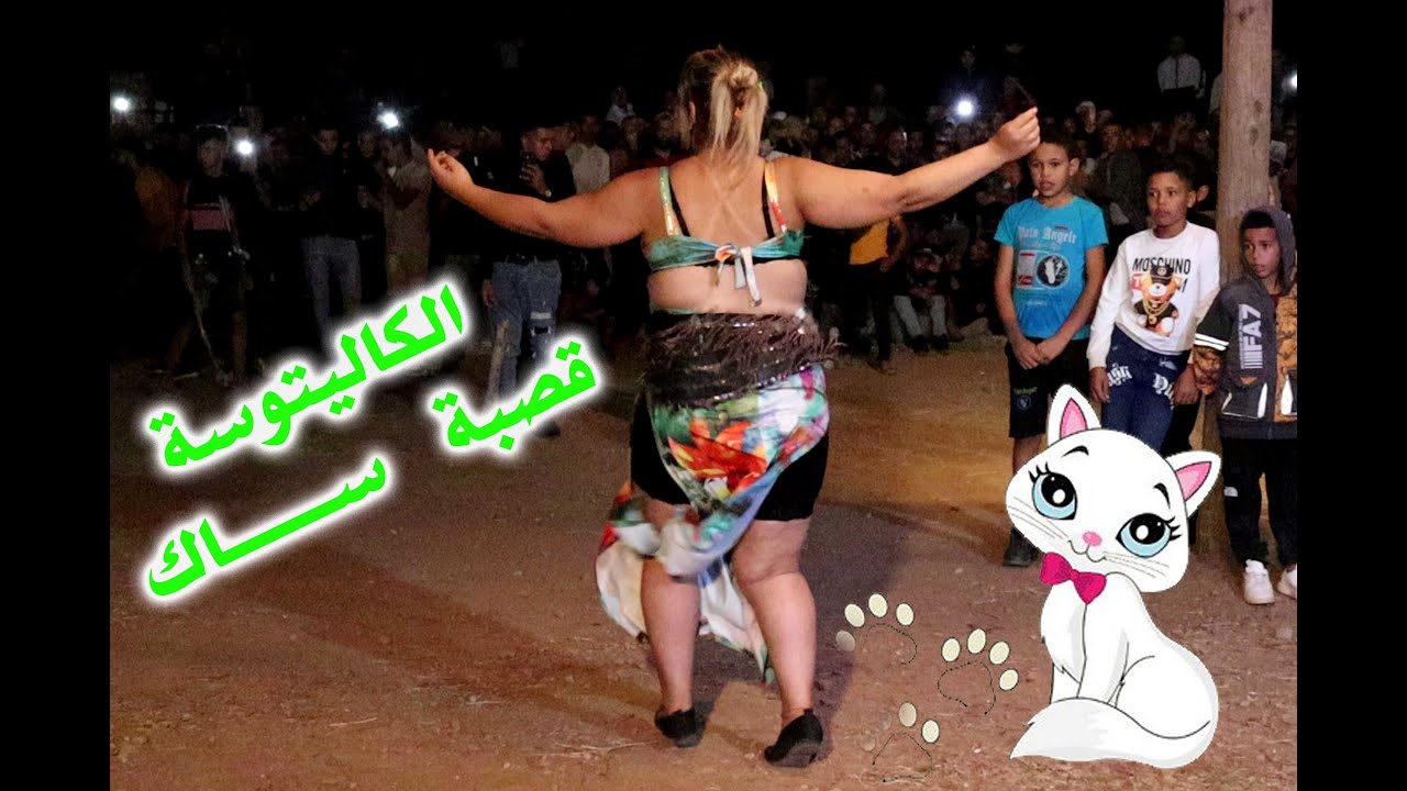 الكاليتوسة و القطة تشطح