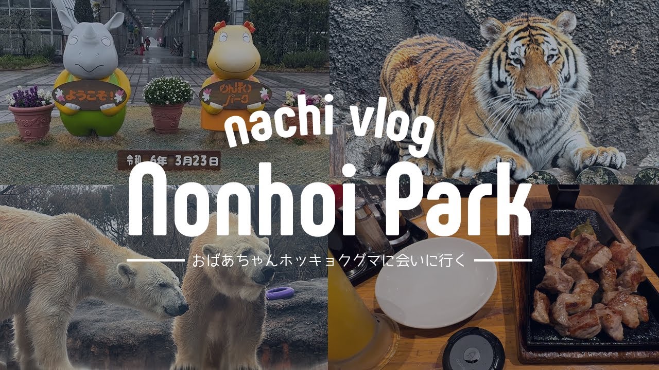 〈 週末遠征vlog② 〉3/23午後のんほいパークにおばあちゃんホッキョクグマに会いに行く / アムールトラのアースが可愛すぎる♡ 〈 動物園めぐり 〉