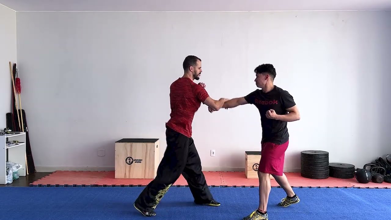 AULA DE KUNG FU | Técnica, intenção marcial e interpretação por trás dos golpes de KUNG FU