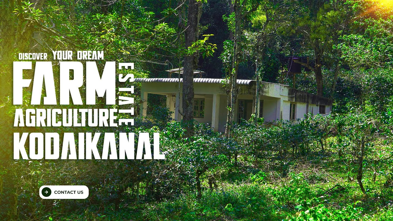 Discover Your Dream Farm Agriculture Estate For Sale in kodaikanal hill |11 Acres
