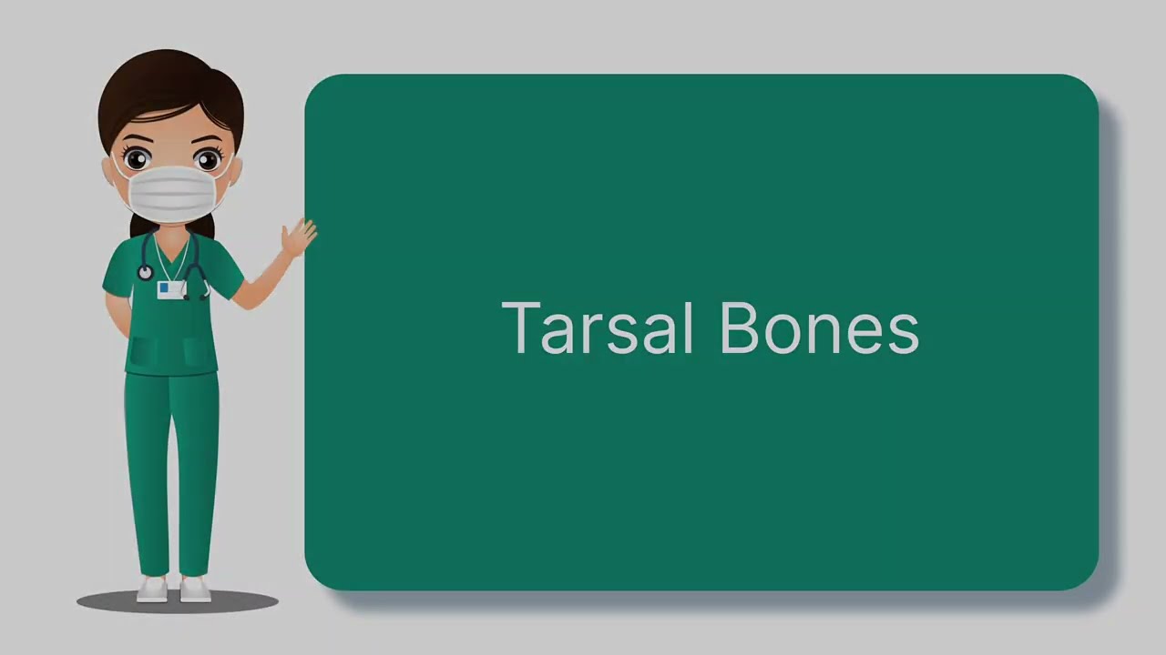 Tarsal Bones || Tricks to remember all Tarsal Bones
