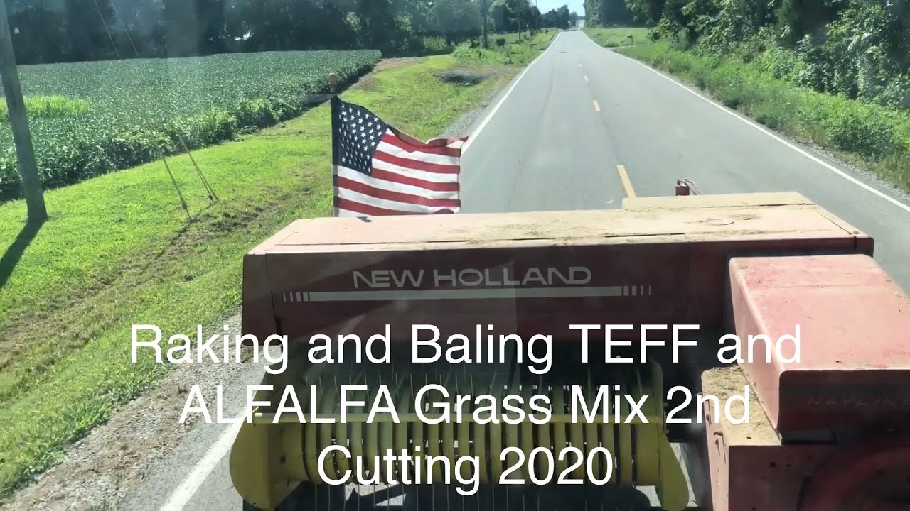 Raking and Baling TEFF and ALFALFA Grass 2020 2nd Cutting