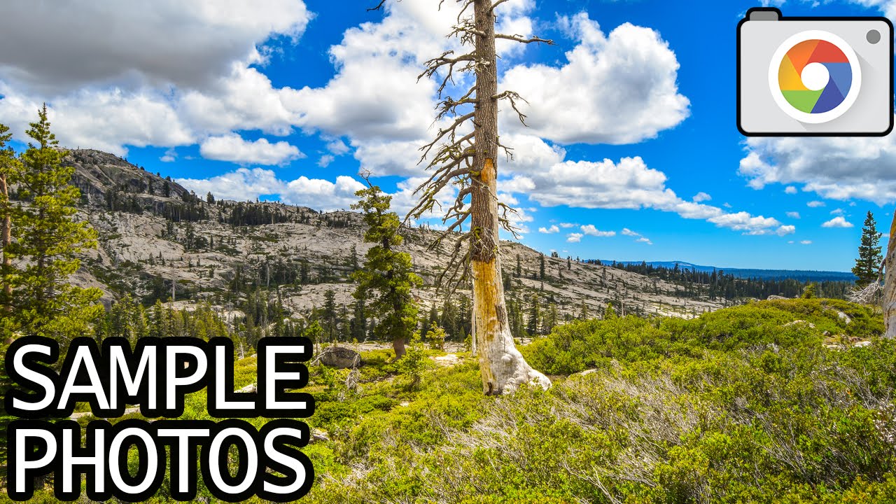 Nikon D5300 with 18-55mm f/3.5-5.6 lens samples