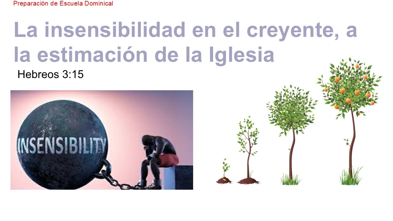 La insensibilidad en el creyente, a la estimación de la Iglesia