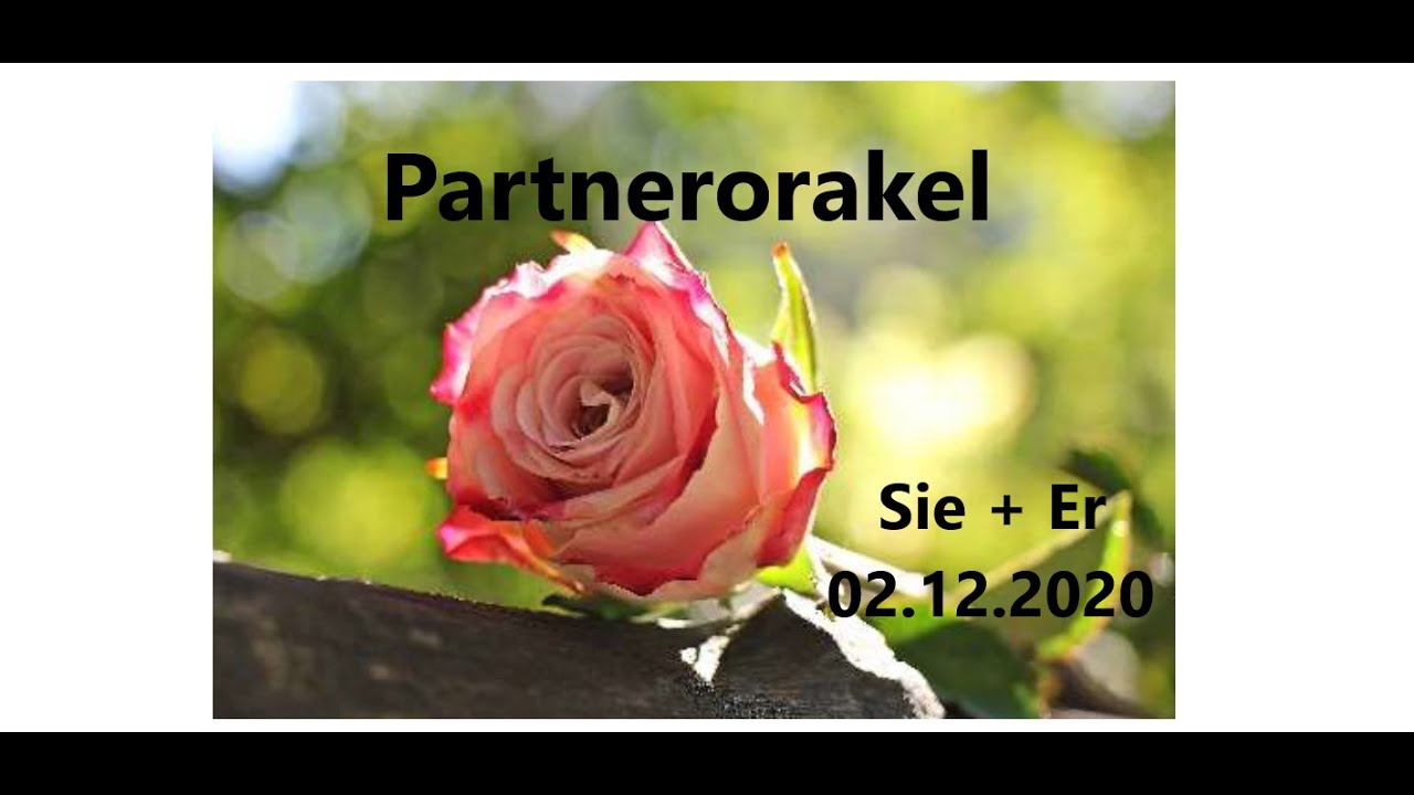 Partnerorakel Sie + Er 02.12.2020
