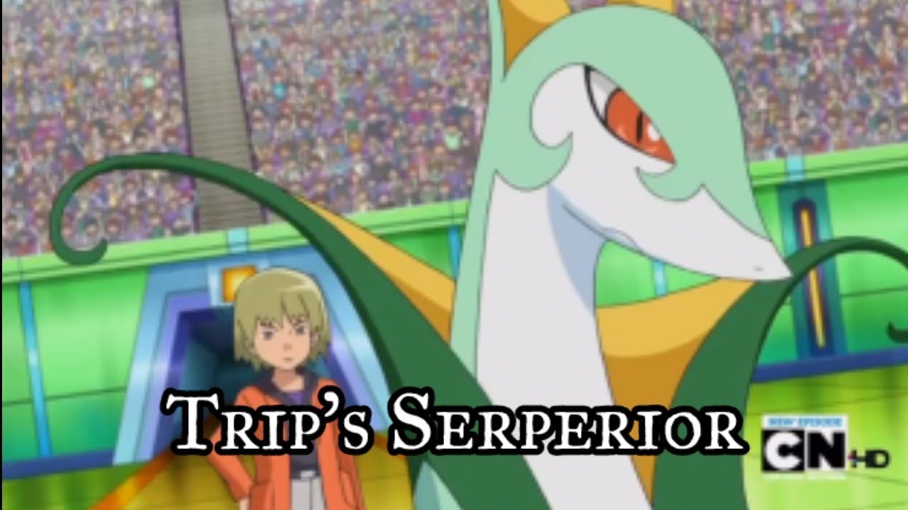Top 9 Moves of Trip's Serperior