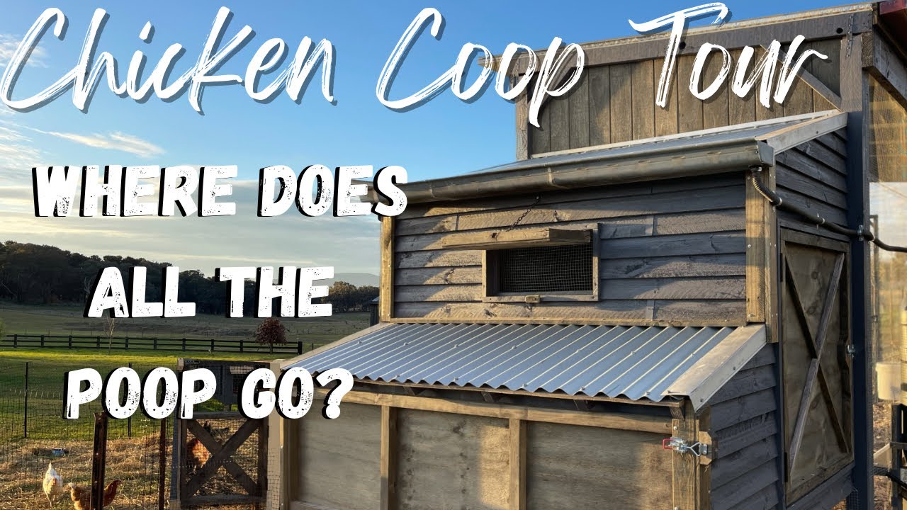 Off Grid Chicken Coop Tour | Chicken Compost