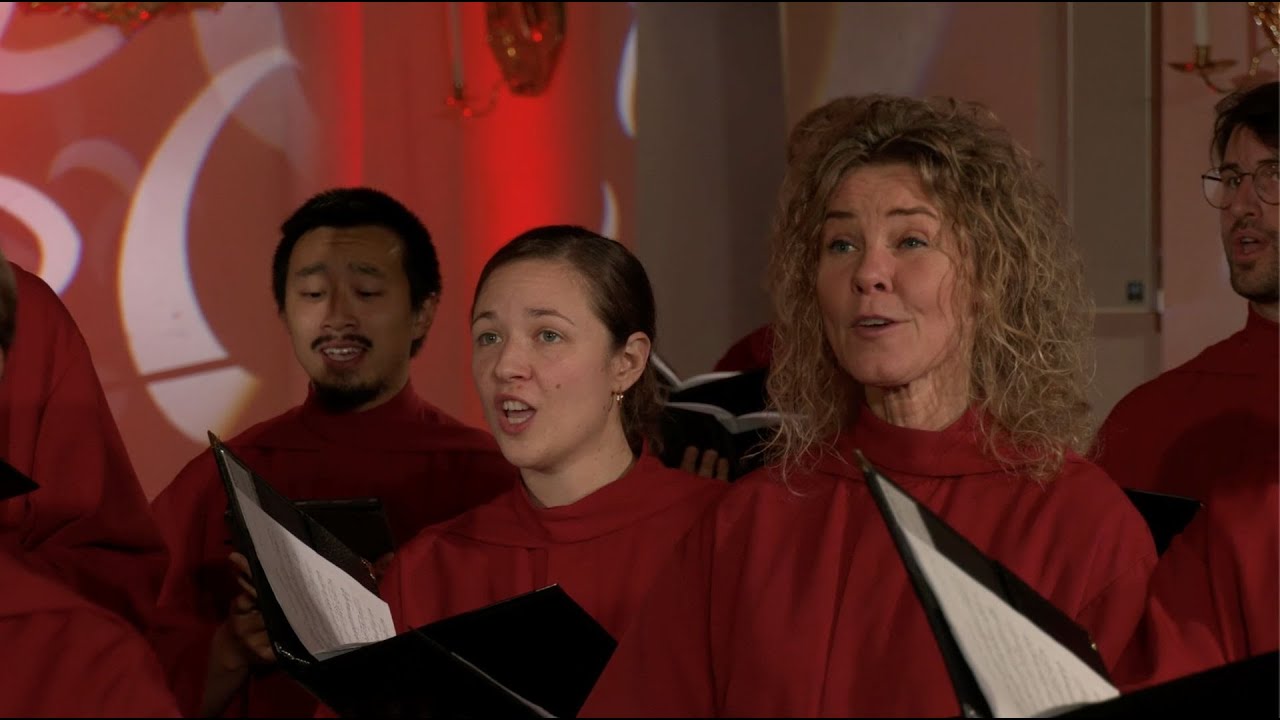 Adventskonsert med Kalmar domkyrkokör