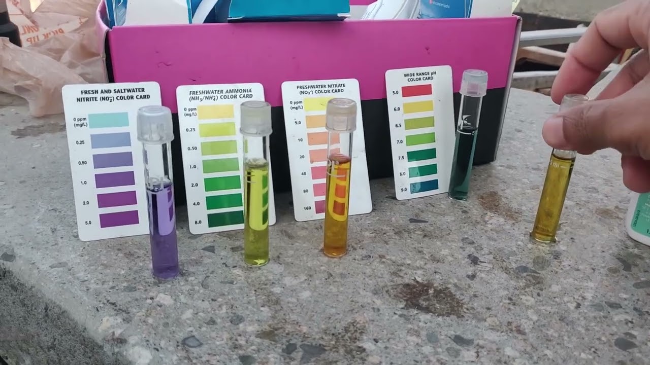 Pond water testing and importance of KH