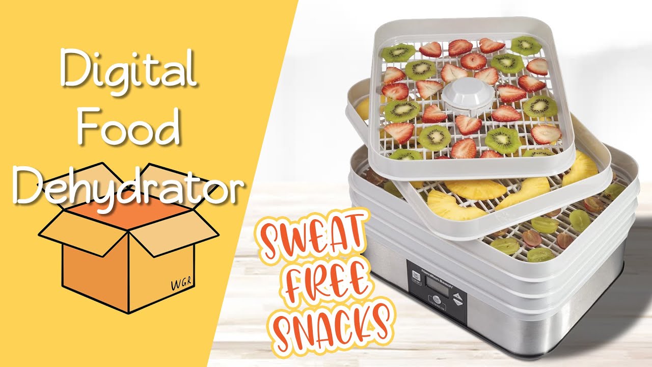 Homemade Dried Fruit Snacks Featuring Hamilton Beach Digital Food Dehydrator