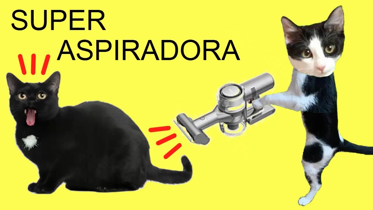 Gatos Luna y Estrella estrenan la nueva aspiradora Dreame V11 / Videos de gatitos