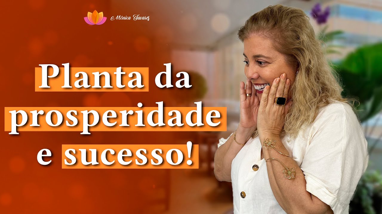 As Melhores Plantas para Ativar Prosperidade e Sucesso com Feng Shui!