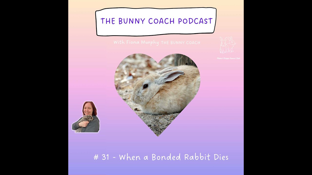 #31 - Do Rabbits Grieve When Their Bonded Partner Dies? What should you do if your rabbit loses t...