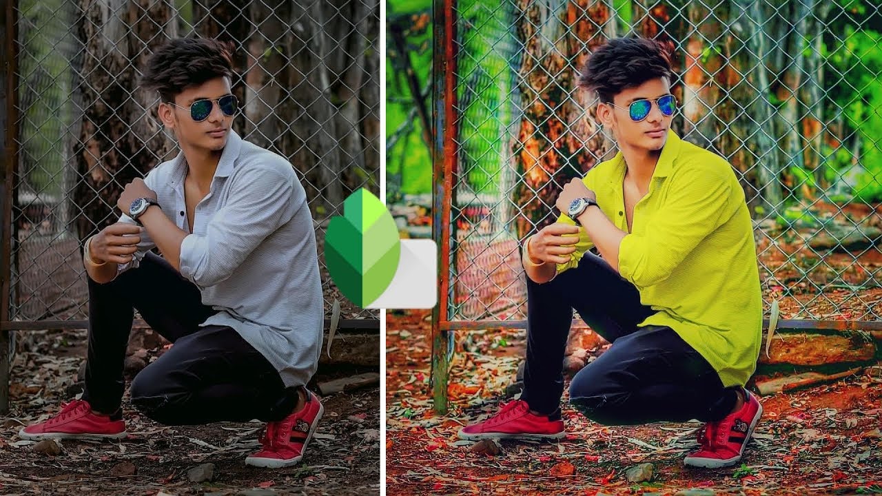 Snapseed Professional Photo Editing Tutorial