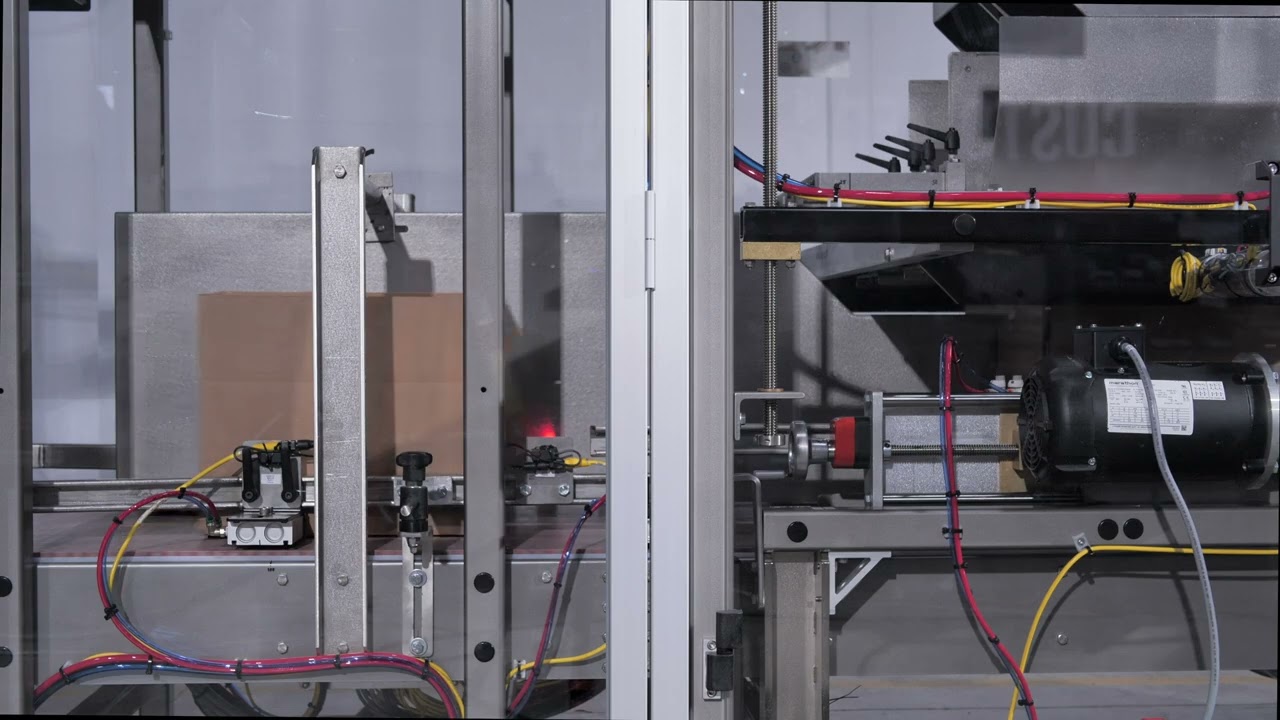 Combi's Dual Bulk Case Packer for Small Packets of Cut Apples