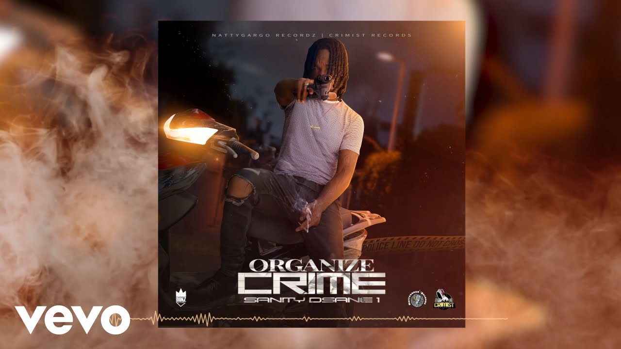Sanity DSane1 - Organize Crime | Official Audio