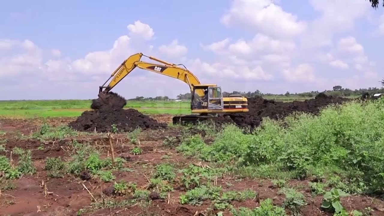 Wetlands Conservation: Stakeholders Call for Collective Action