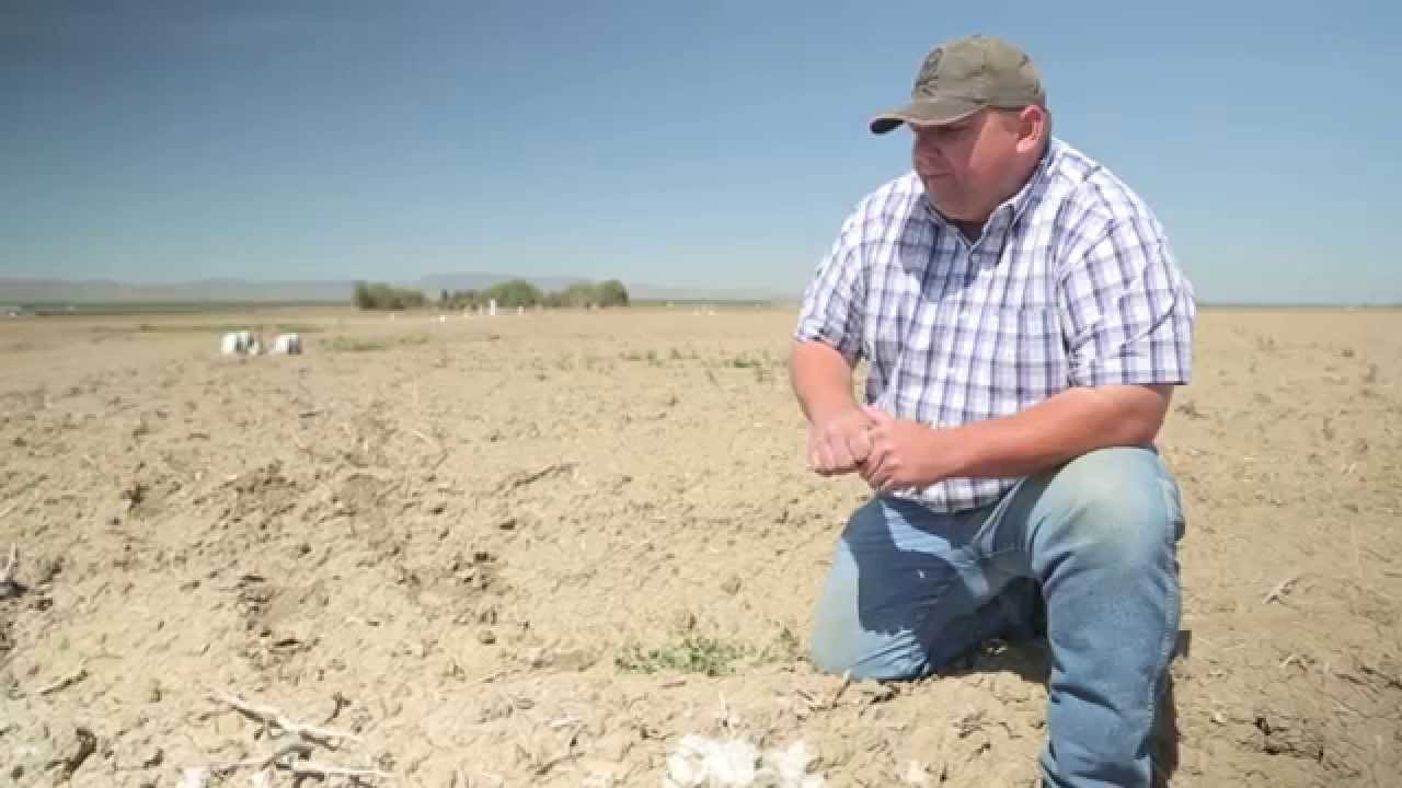 Sunlight: The Solution to California's Drought?