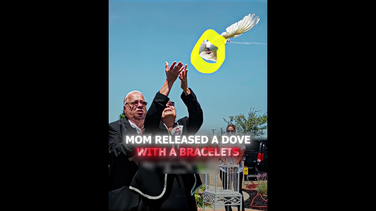 A Dove Returned To The Mom Who Lost Her Son 🥹