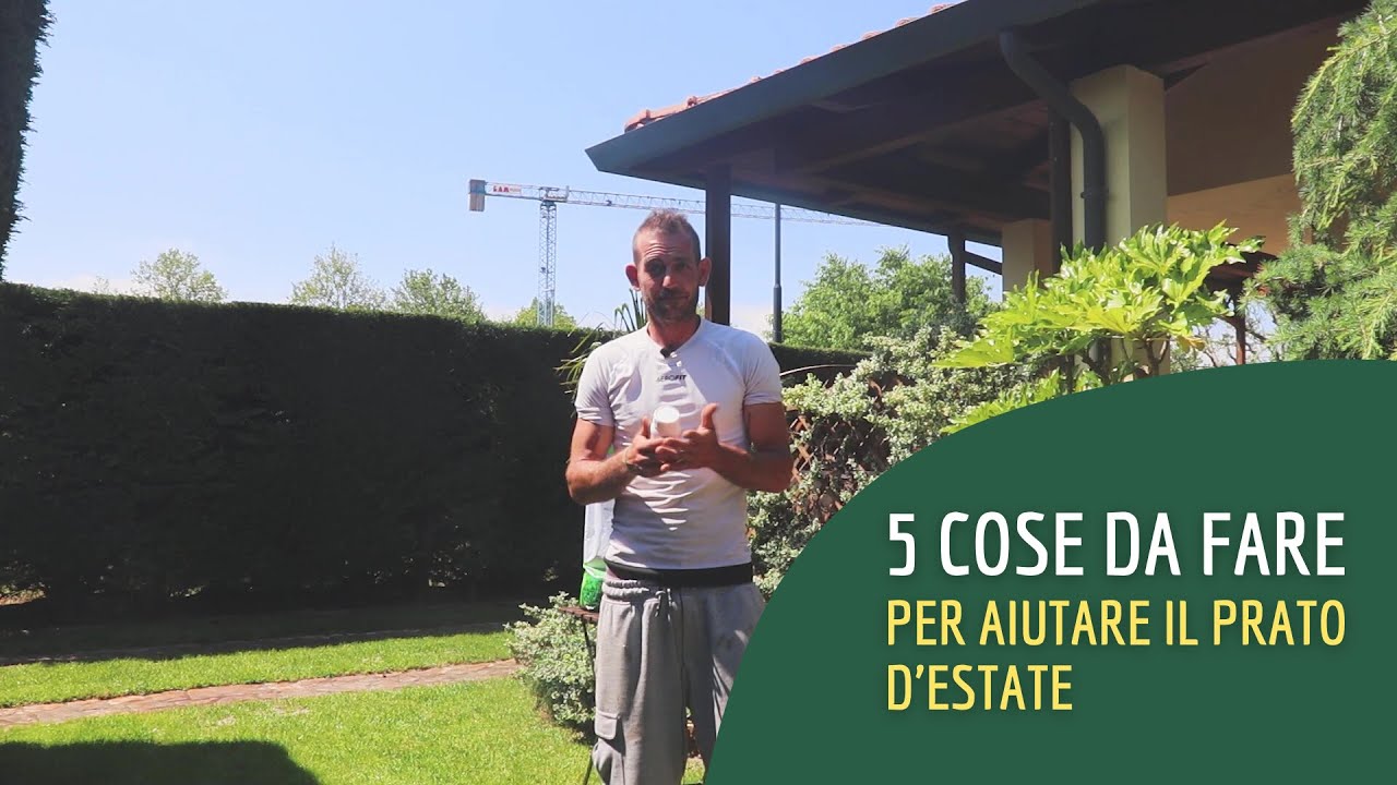 5 consigli per proteggere il prato dal caldo estivo