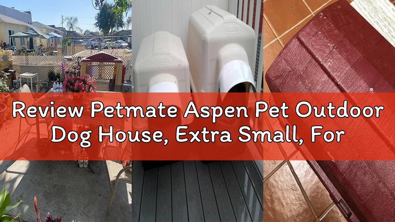 Review Petmate Aspen Pet Outdoor Dog House, Extra Small, For Pets Up to 15 Pounds, Made in USA