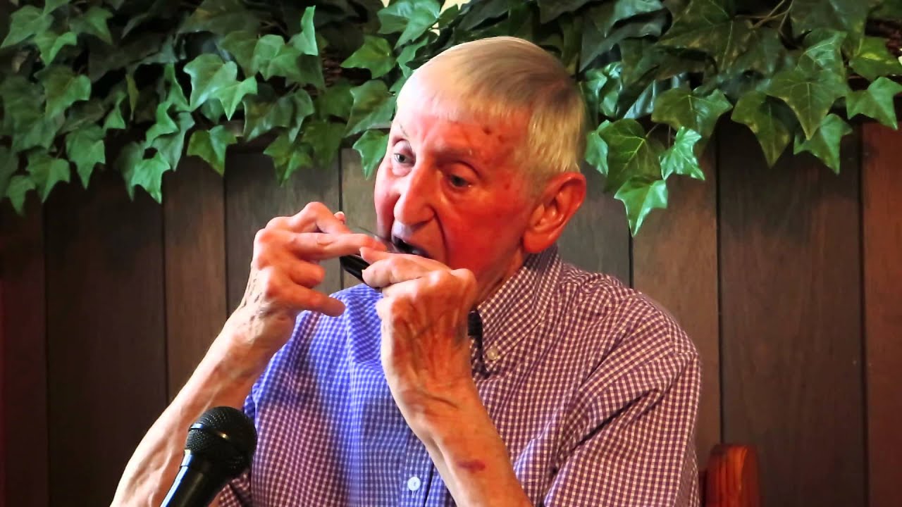 Can't Help Falling In Love (harmonica cover)
