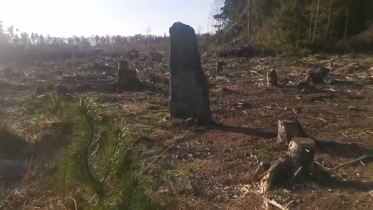 Farley Moor Standing Stone. Time Team musings.