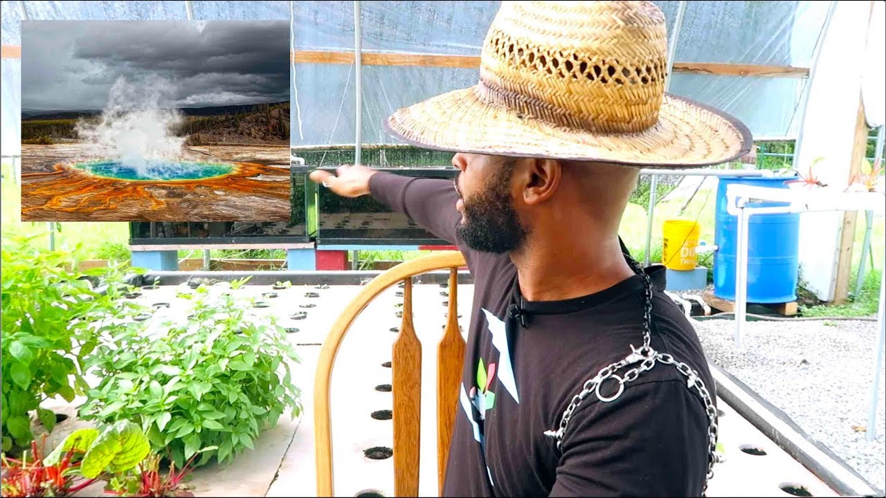 REDUCING EVAPOARATION IN AQUAPONICS