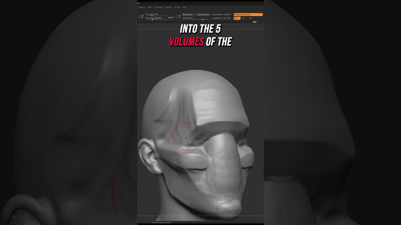 Если вы хотите вылепить лицо, вам понадобится это... #Zbrush