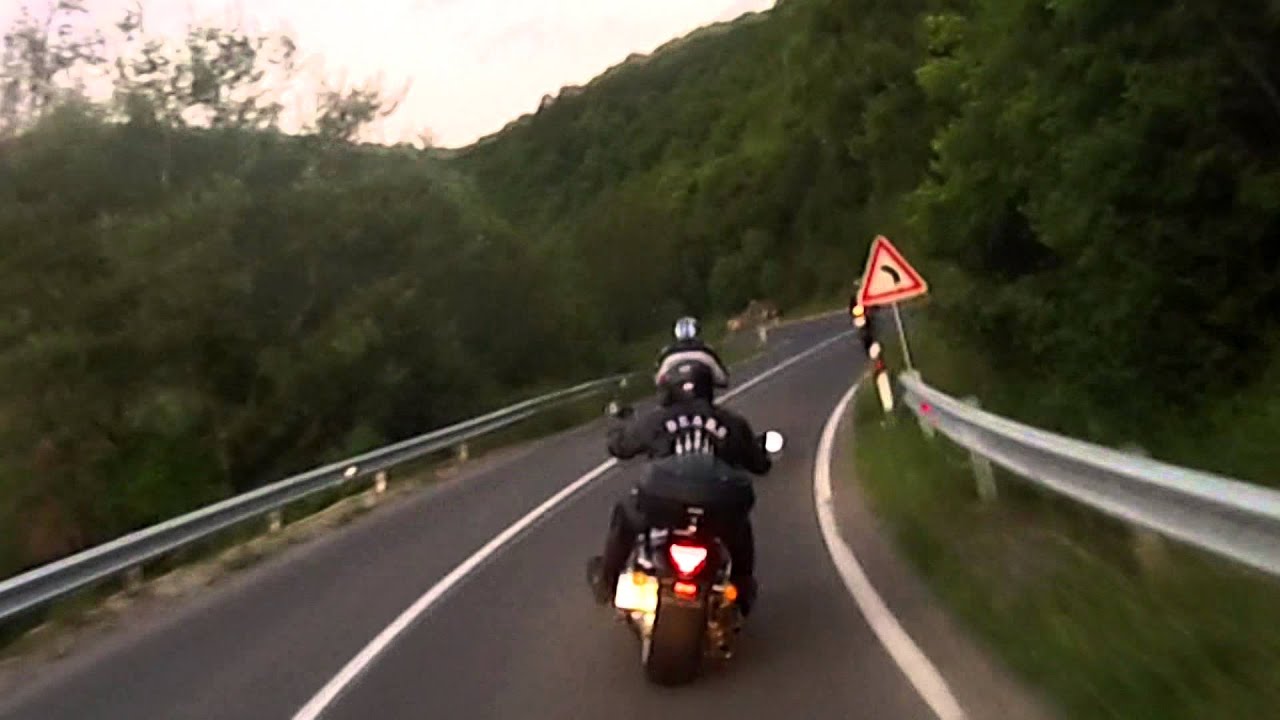 MK Bears - Gulinac Riding
