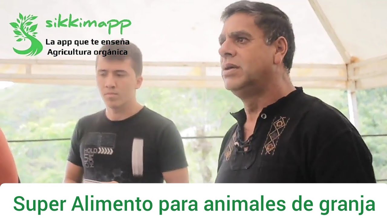 Super alimento orgánico para animales de granja Juan José Paniagua sikkimapp agricultura orgánica