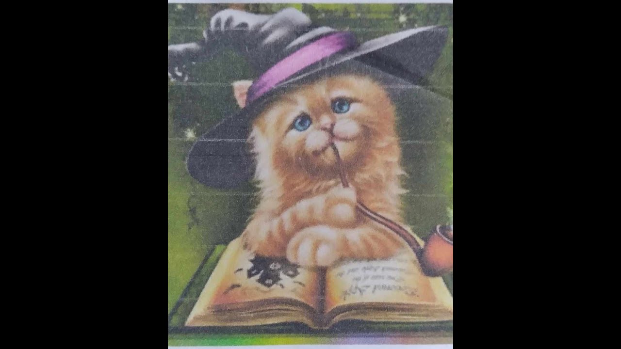 SUNATURE Diamond Arts  HALLOWEEN CAT...UPDATE.