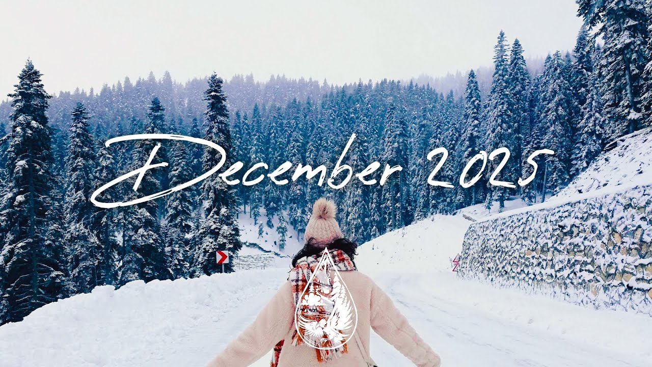 Indie/Rock/Alternative Compilation - December 2025 (2½-Hour Playlist)