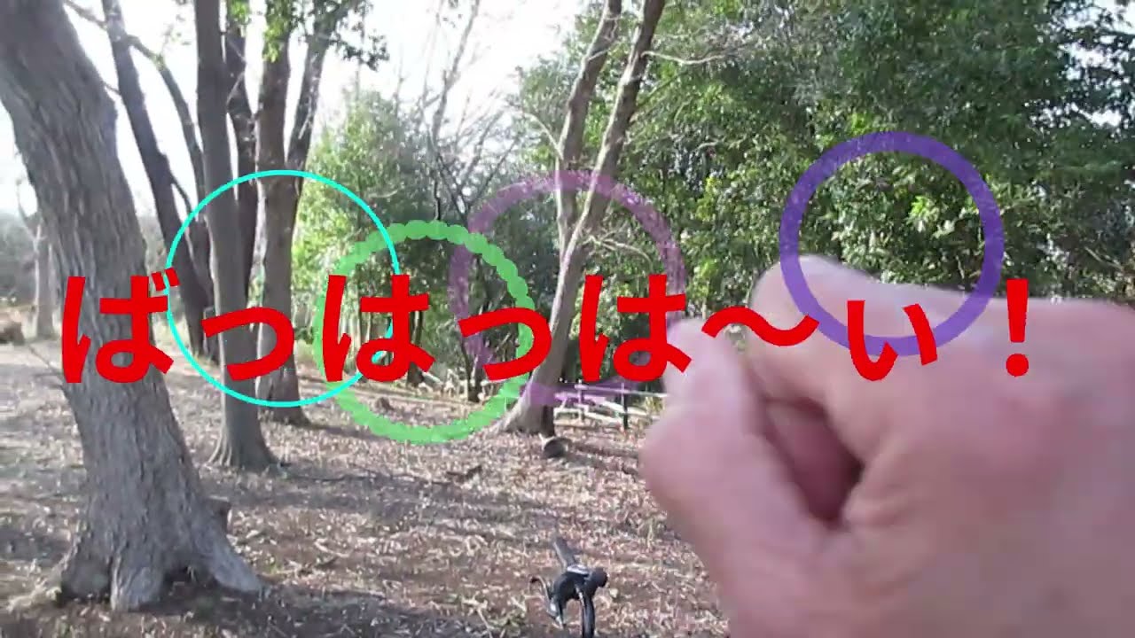 アマチュア無線。地元、「新橋天神の森公園」運用。枝の剪定で視界が開けた。この春は運用楽しみだ！　やってみよぅ！