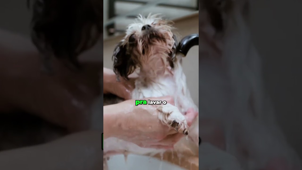 Voce sabia que tem planta que elimina pulgas e carrapatos do seu pet