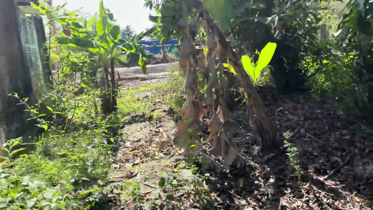Visiting my grandfather’s house, abandoned since 1950