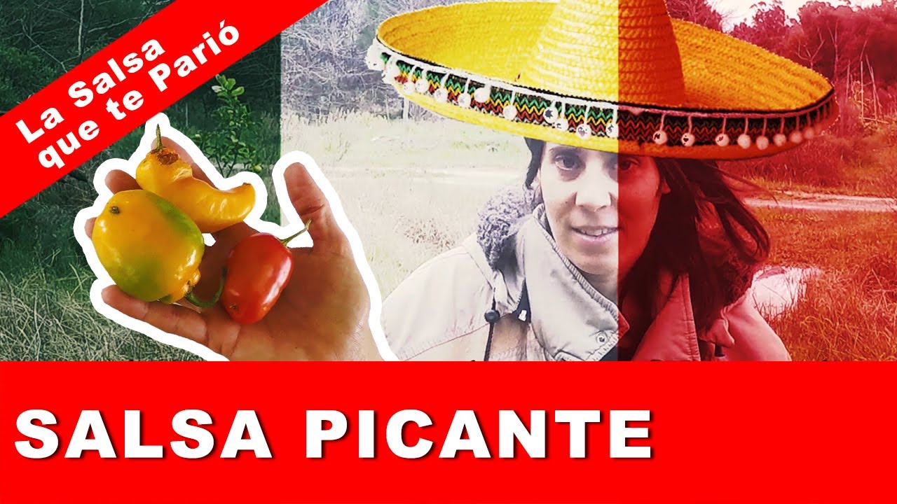 Cómo fermentar chiles/ajies, como hacer una salsa casera?