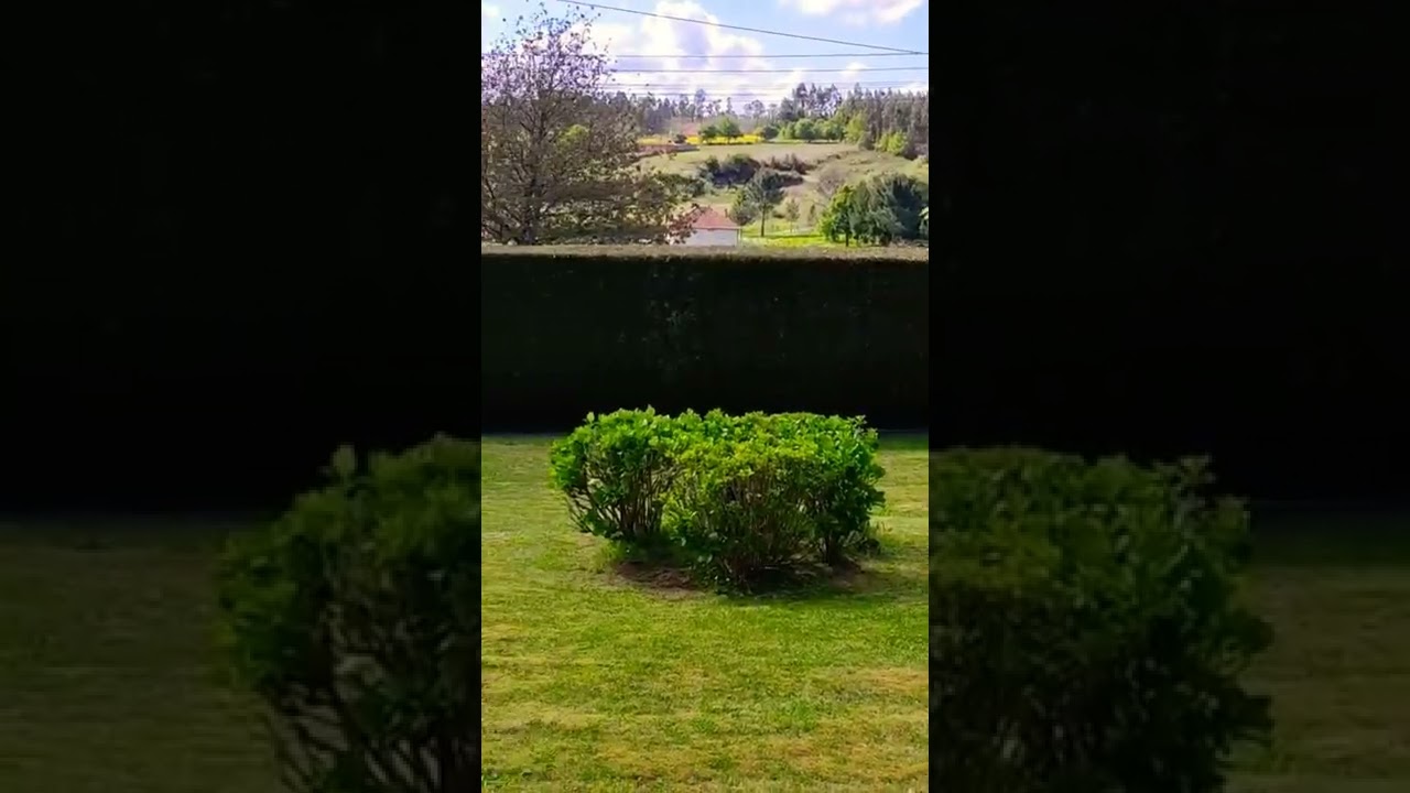 Jardín en Galicia