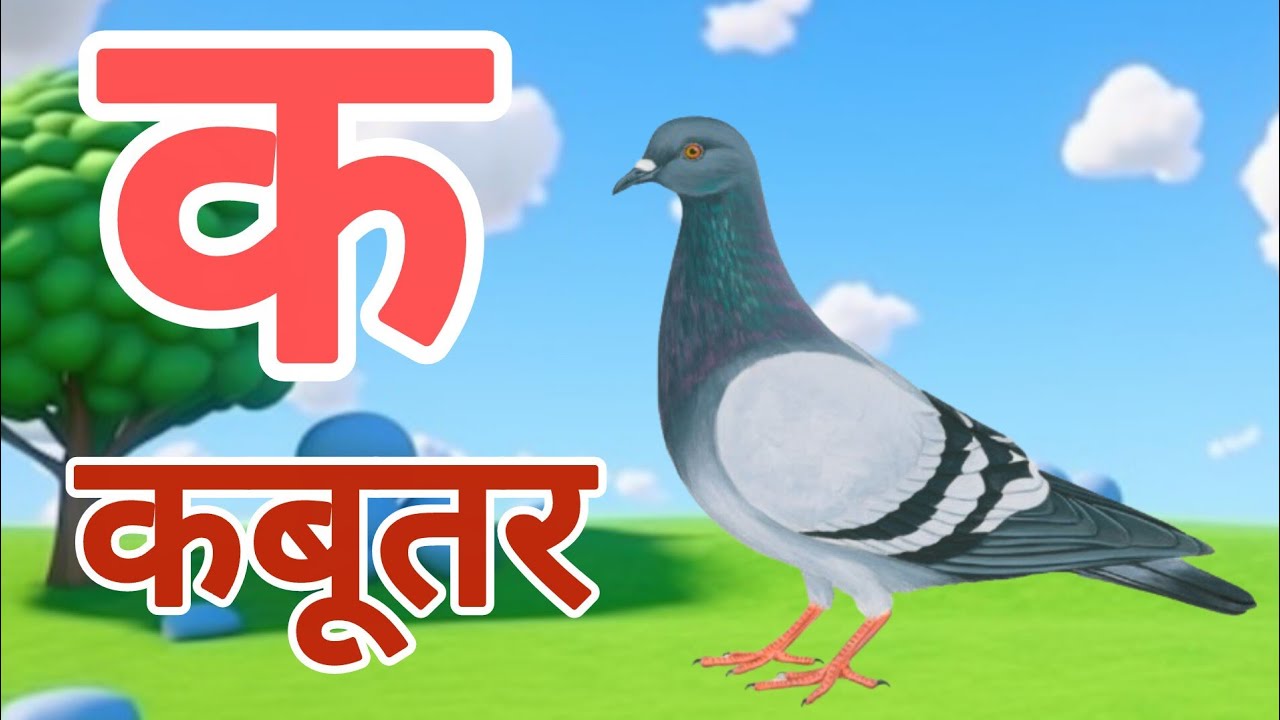 क से कबूतर,अ से अनार a se anaar k se kabutar | Hindi varnmala | ABCD क से कबूतर अ से अनार, for kids