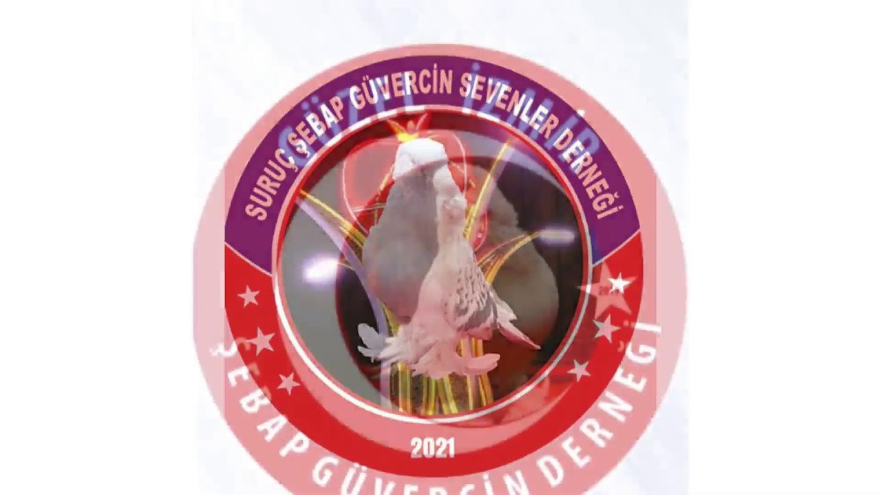 23.ŞEBAP GÜVERCİN FESTİVALİ - MASA SALINIMI