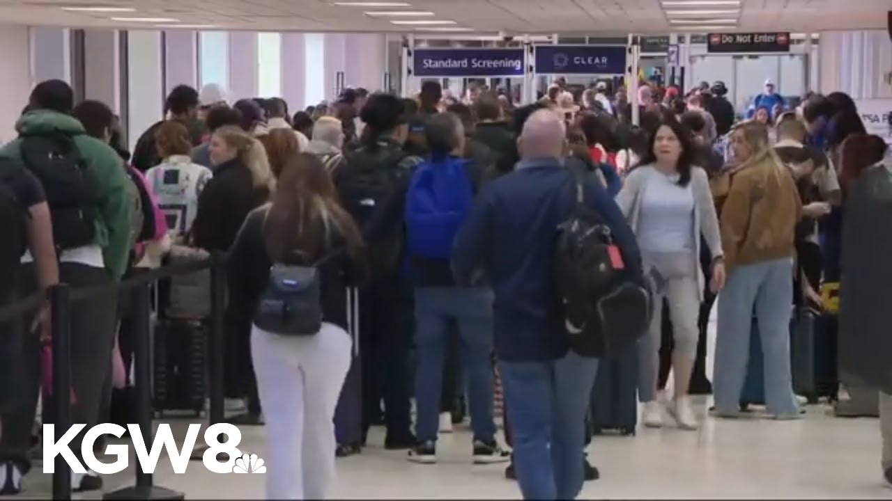 Airport Update: Still no pay for TSA, ICE agents coming to airports, Spring Break disrupted
