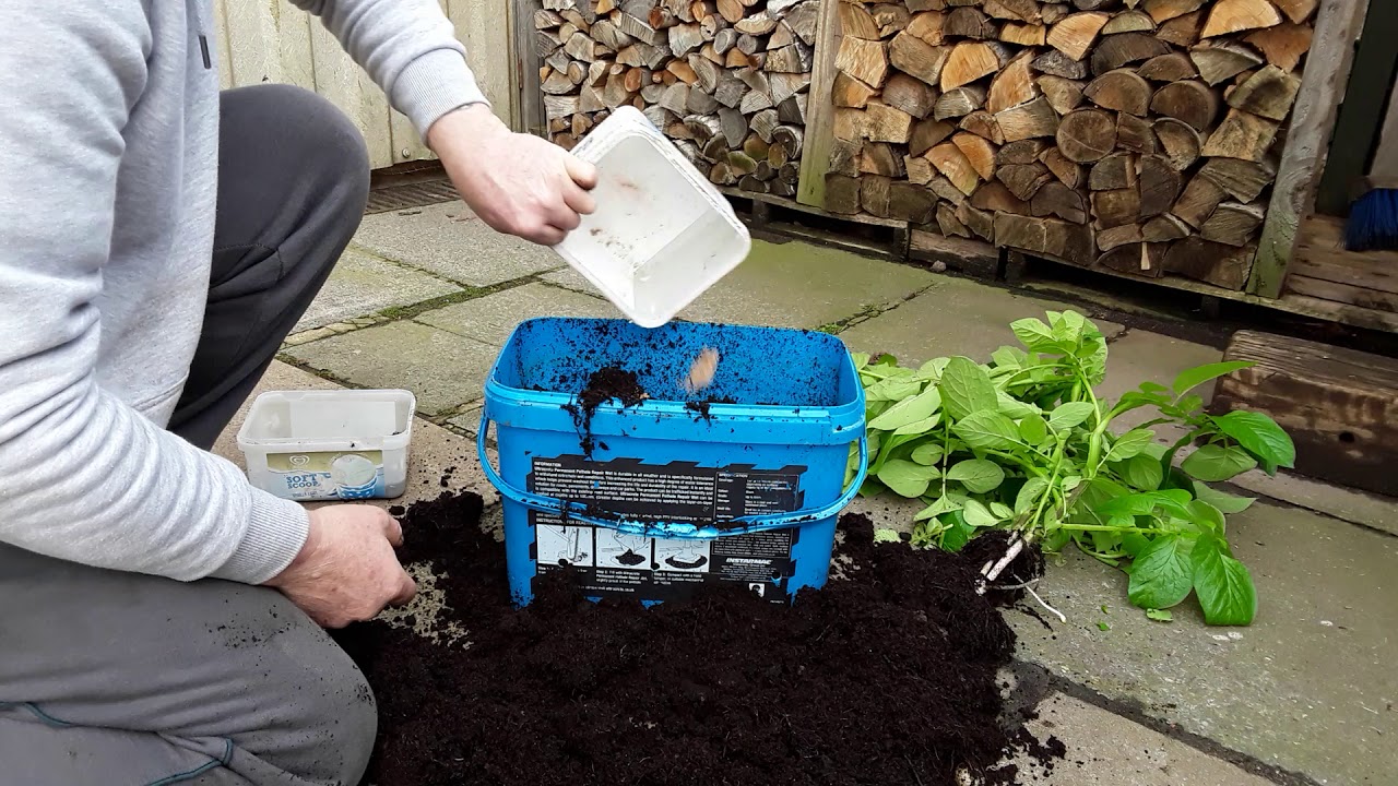 90 Day Rocket Potato Reveal Planted 1st December 2019 ♻️ Grow Room ♻️ Giant Vegetables