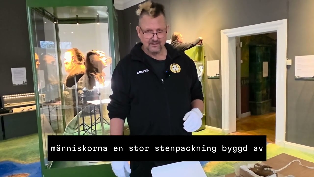 Fynd från Kanaljorden - underkäkar