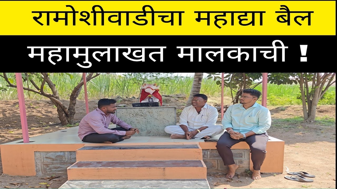 स्वर्गीय. महाद्या बैल मुलाखत रामोशीवाडी.#bailgada#bakasur#बैलगाडाशर्यत#बकासुर#bailgadamaidan#mathur 